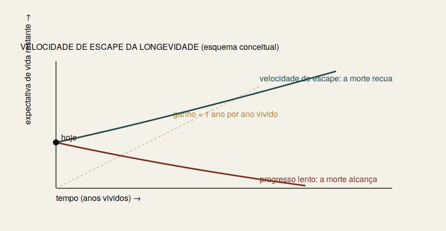 TODO: descrever imagem importada